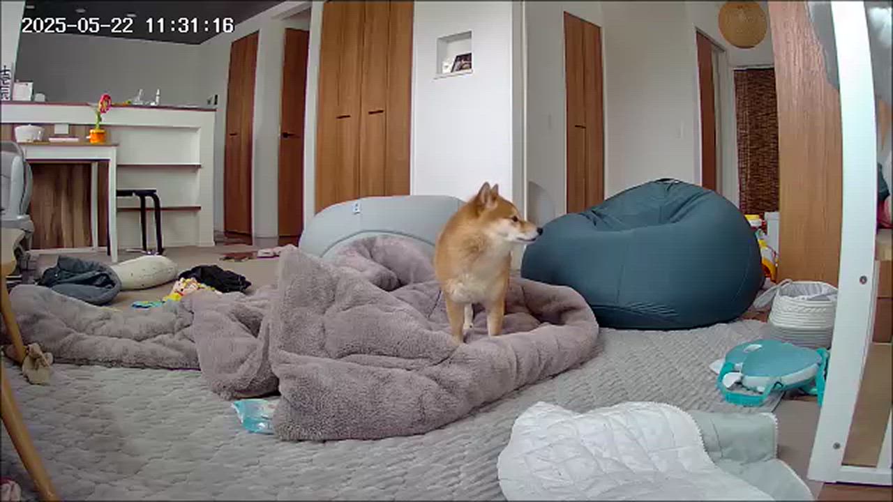 全体のレビュー動画のサムネイル | 2