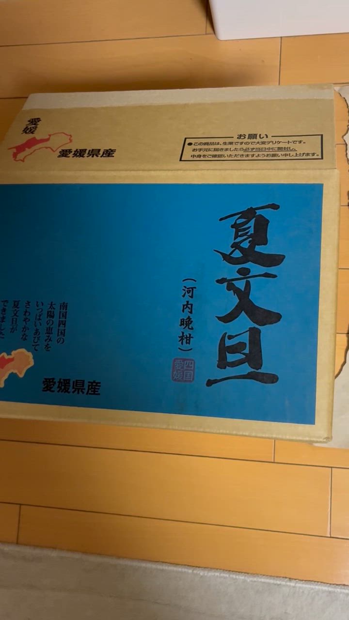 全体のレビュー動画のサムネイル | 4