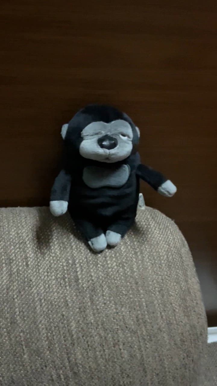 もちごり ミニ ゴリラ ぬいぐるみ マスコット モリサカ