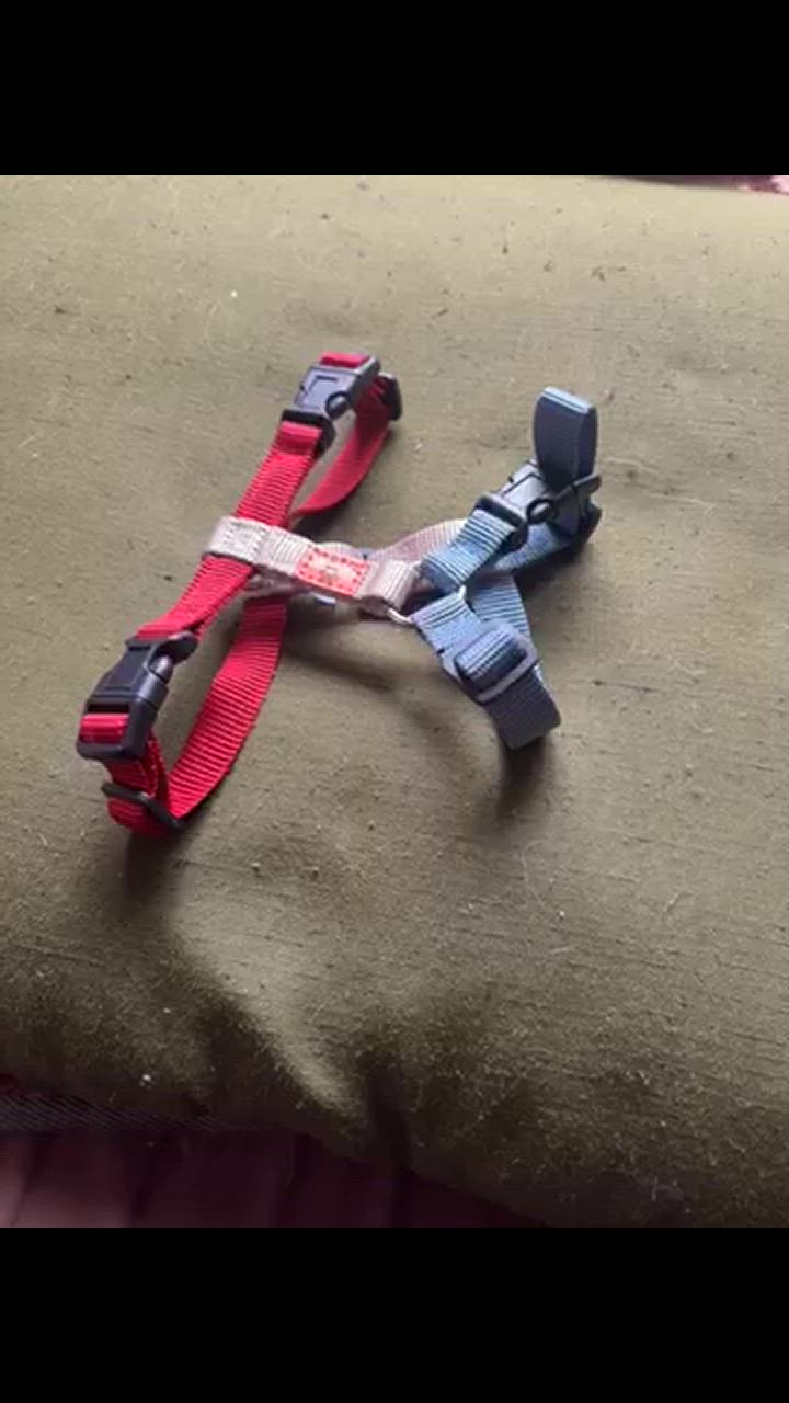 全体のレビュー動画のサムネイル | 2