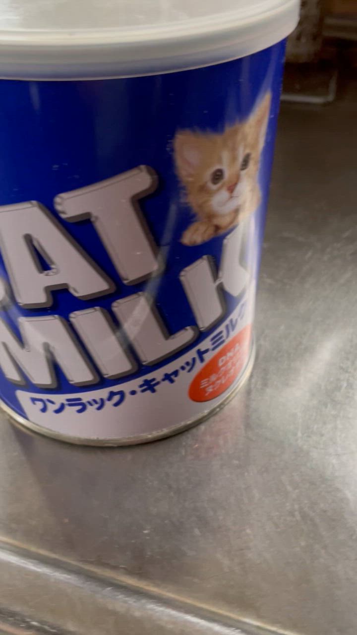 森乳　サンワールド　ワンラック　キャットミルク　270g 12缶 森乳サンワールド ワンラック キャットミルク 270g : ベストワン