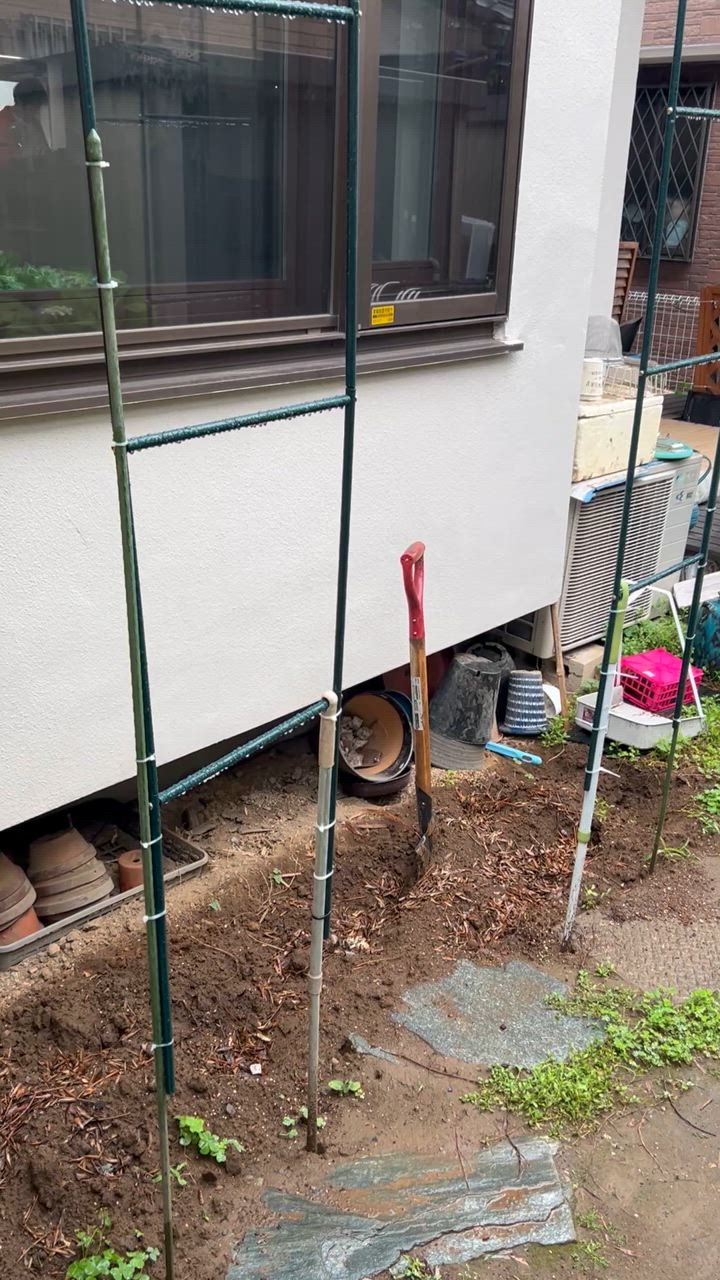 全体のレビュー動画のサムネイル | 1