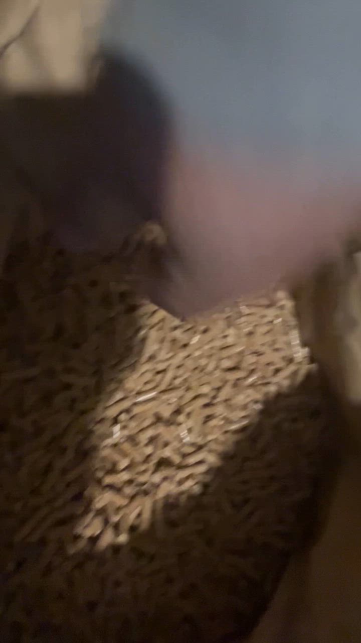 全体のレビュー動画のサムネイル | 9