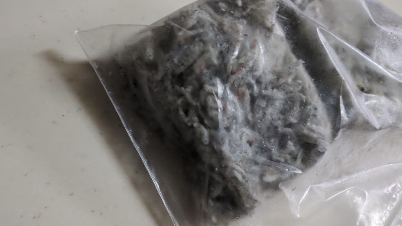 全体のレビュー動画のサムネイル | 8