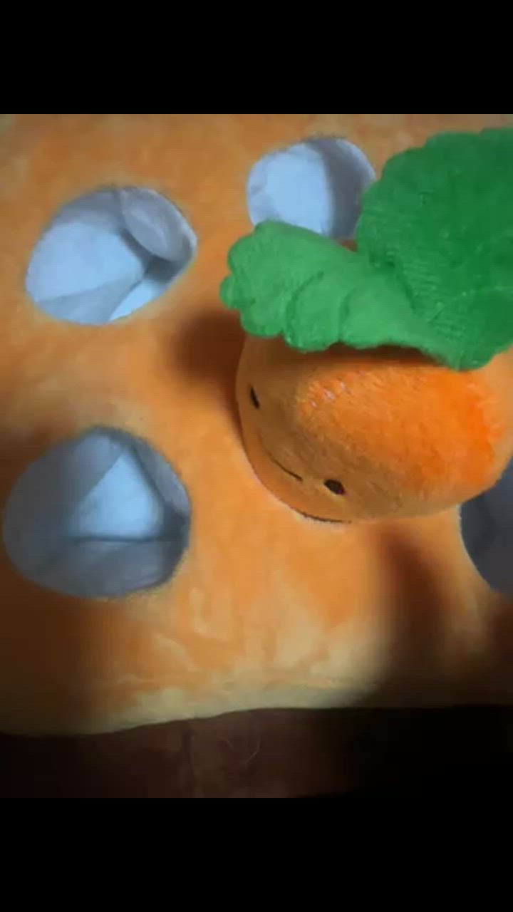 全体のレビュー動画のサムネイル | 0