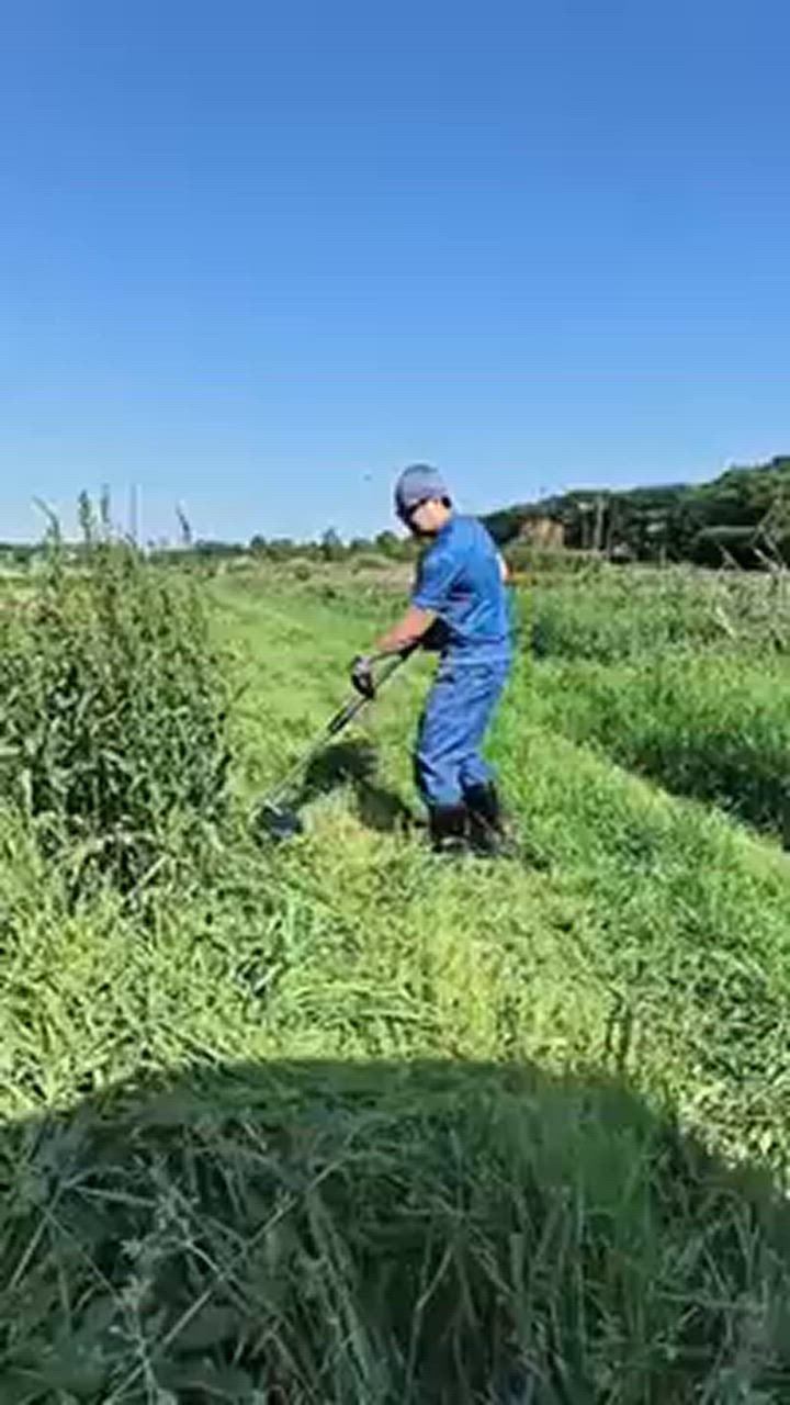 全体のレビュー動画のサムネイル | 6