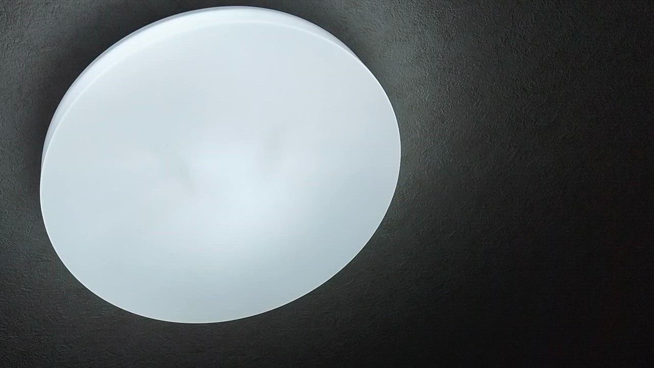 全体のレビュー動画のサムネイル | 6