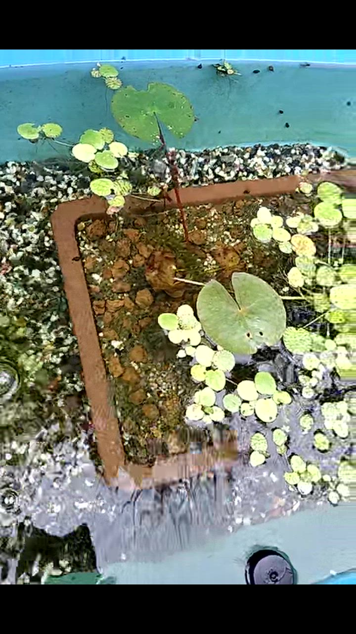 全体のレビュー動画のサムネイル | 8