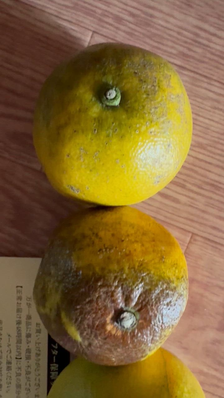 全体のレビュー動画のサムネイル | 2