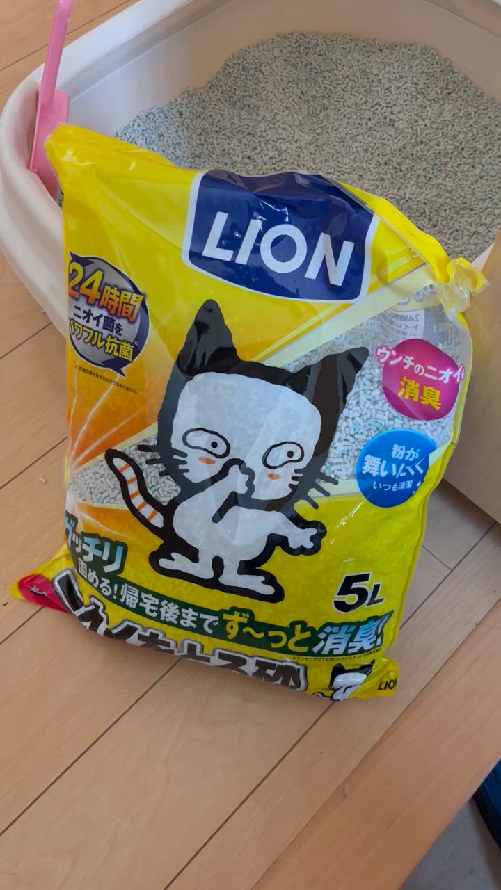 全体のレビュー動画のサムネイル | 4