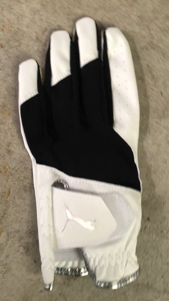 定価2.4万円◆新品　プーマ　プーマゴルフ　ゴルフ　メンズ　Ｐ119 PUMA GOLF プーマ ゴルフ 日本正規品 EX グローブ メンズ ゴルフ