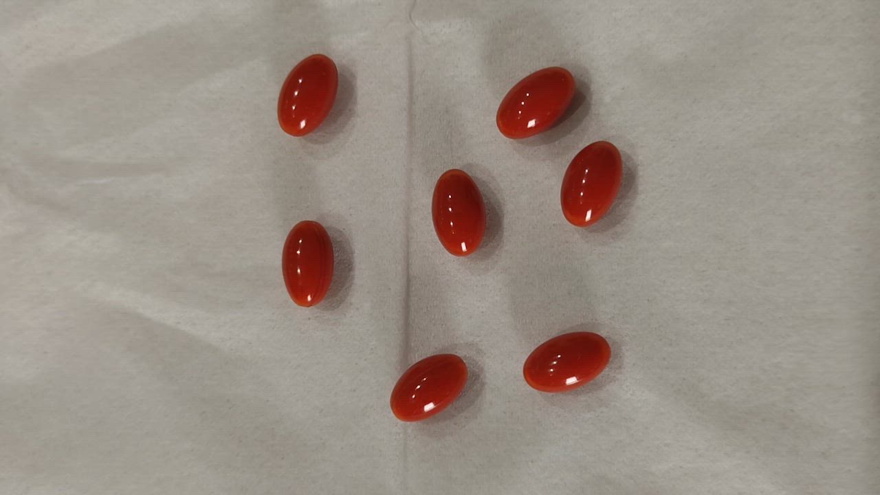 全体のレビュー動画のサムネイル | 1