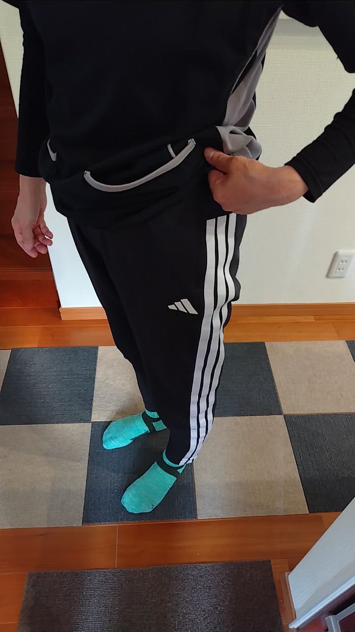 adidas アディダス（adidas）（レディース）ニット DL