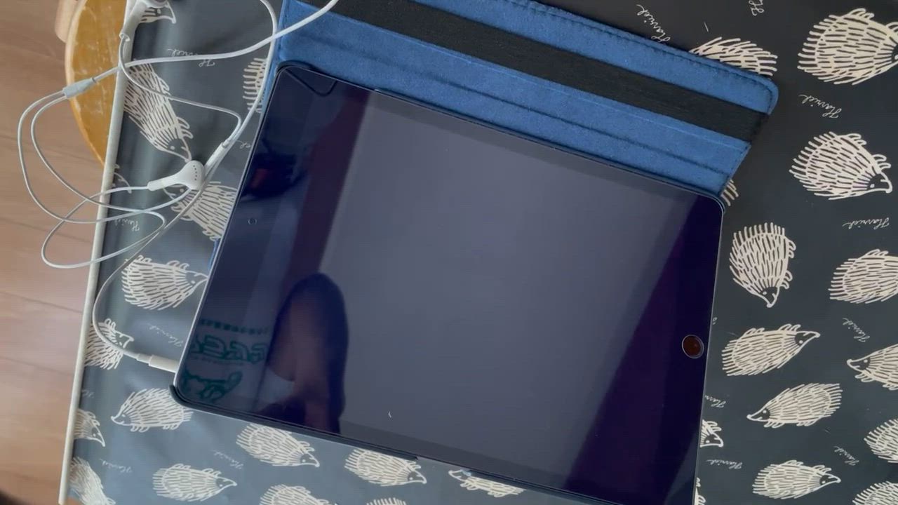 全体のレビュー動画のサムネイル | 0