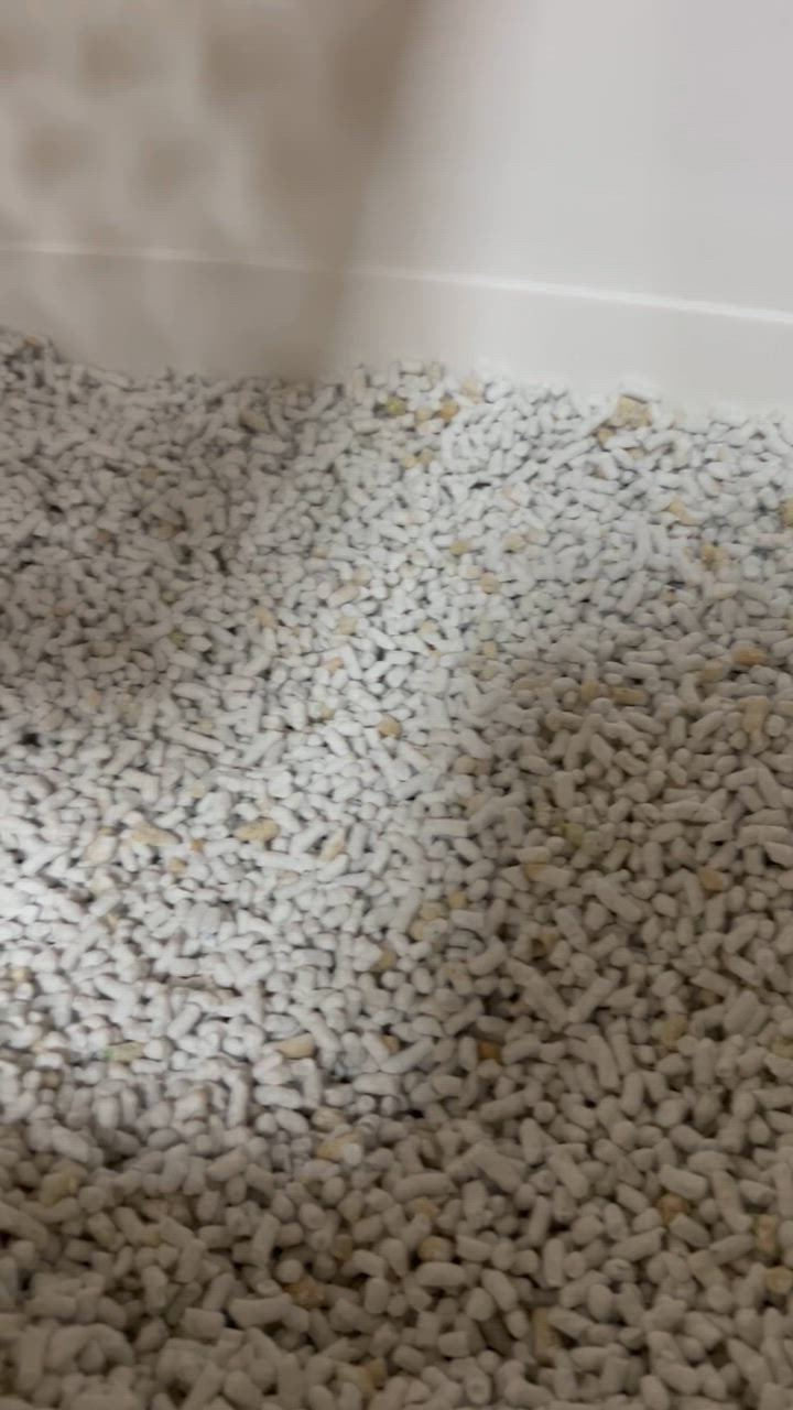 全体のレビュー動画のサムネイル | 7