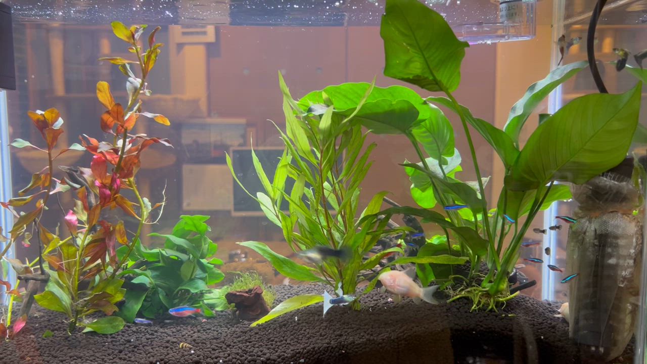 コトブキ工芸 水槽セット アクアリスト600S 観賞魚 LED 60cm水槽
