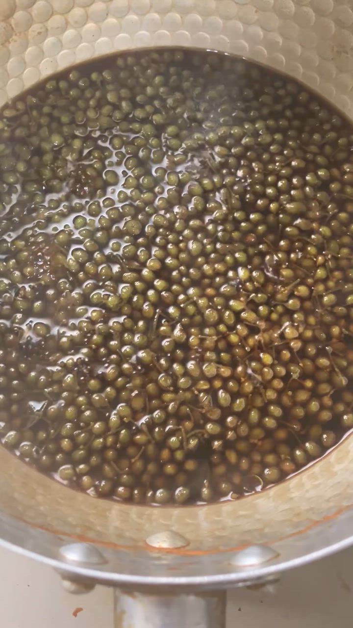 山椒の実（生）500g 和歌山産 実山椒 ぶどう山椒/朝倉山椒