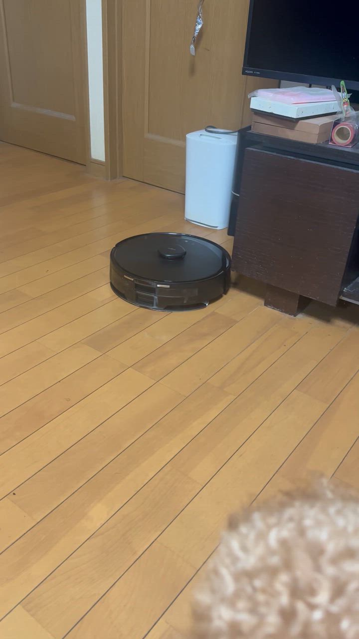 全体のレビュー動画のサムネイル | 0