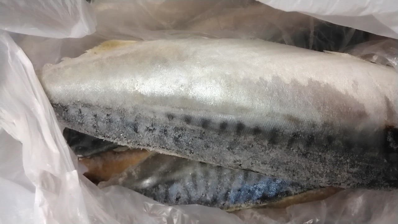 全体のレビュー動画のサムネイル | 0