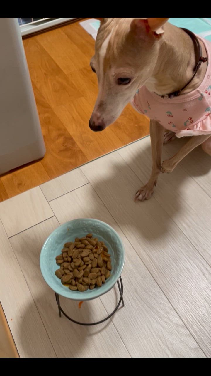 全体のレビュー動画のサムネイル | 5