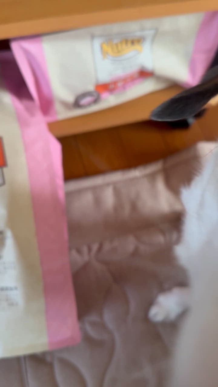 全体のレビュー動画のサムネイル | 17