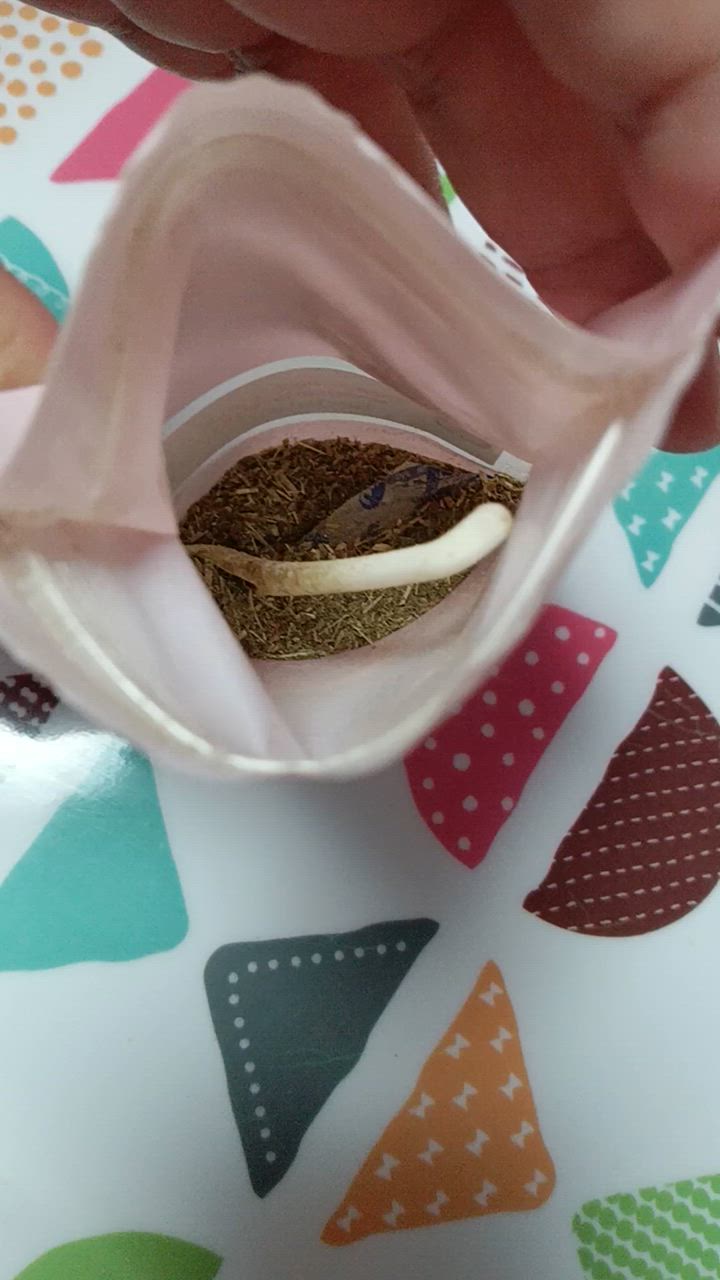 全体のレビュー動画のサムネイル | 1