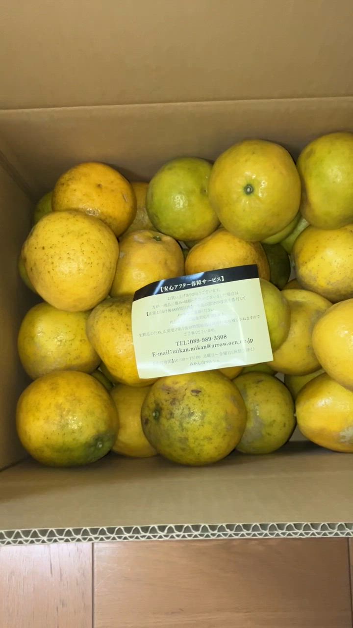 全体のレビュー動画のサムネイル | 1