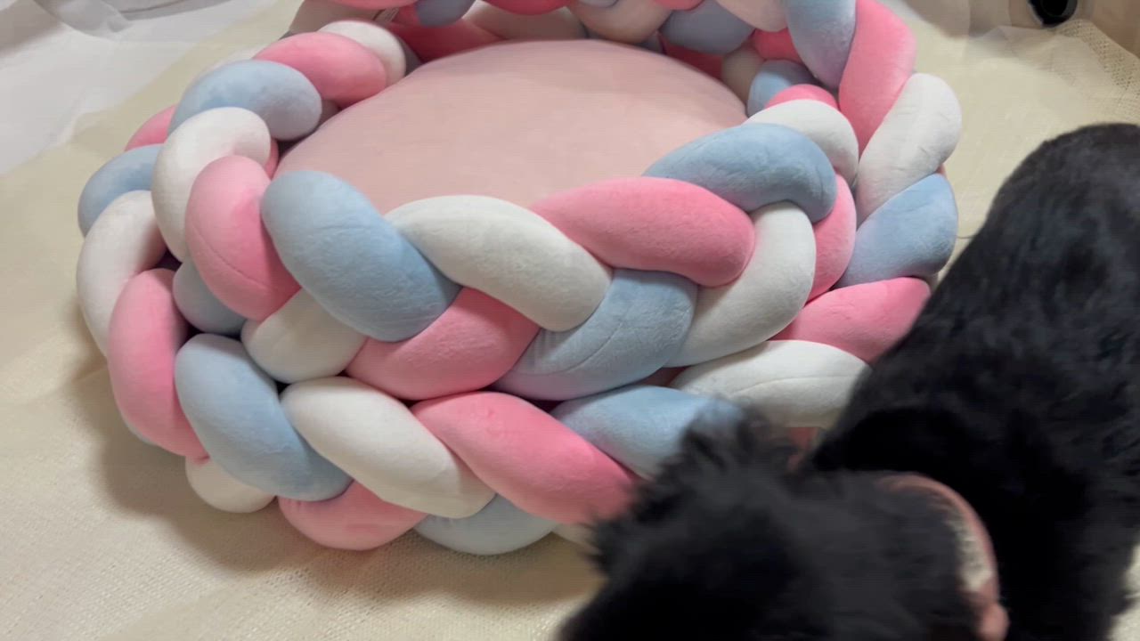 1件目のレビュー動画のサムネイル | 0