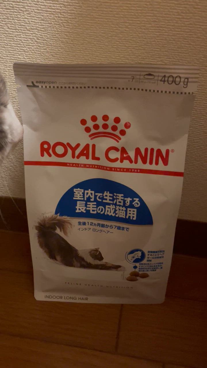 全体のレビュー動画のサムネイル | 0