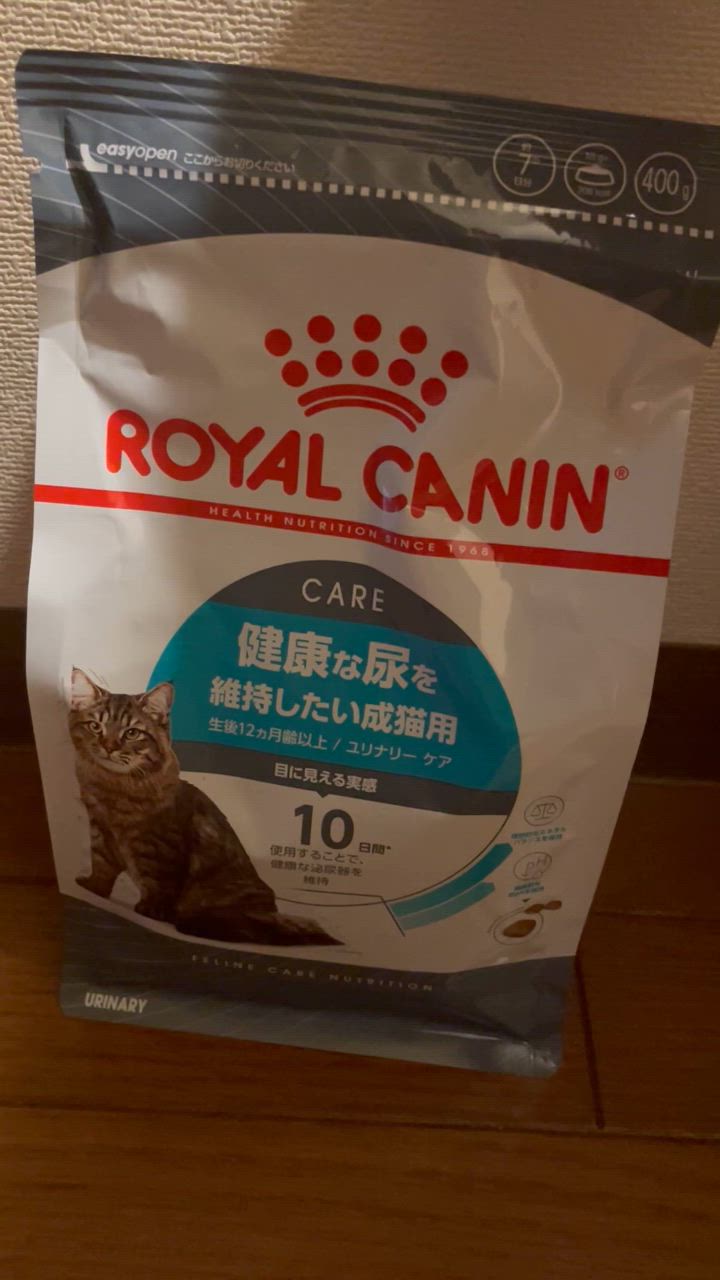 全体のレビュー動画のサムネイル | 1