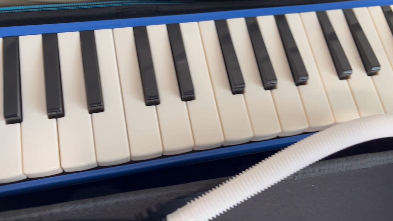 melodeon 鈴木楽器 鍵盤ハーモニカ メロディオン スズキ アルト
