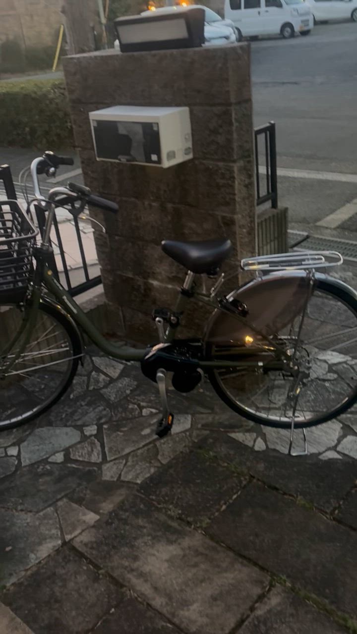 ViVi ((8/5はポイント5％)) 電動自転車 電動アシスト自転車