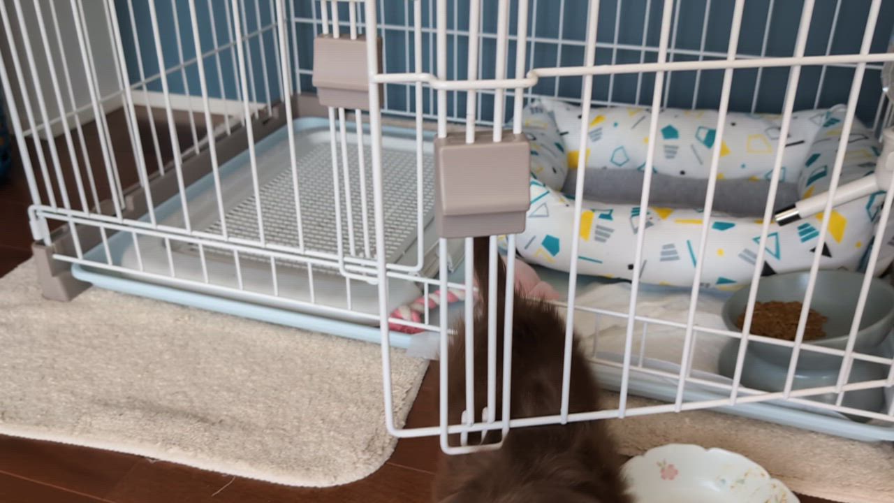 全体のレビュー動画のサムネイル | 0