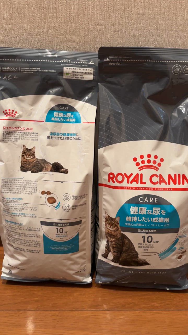 全体のレビュー動画のサムネイル | 4