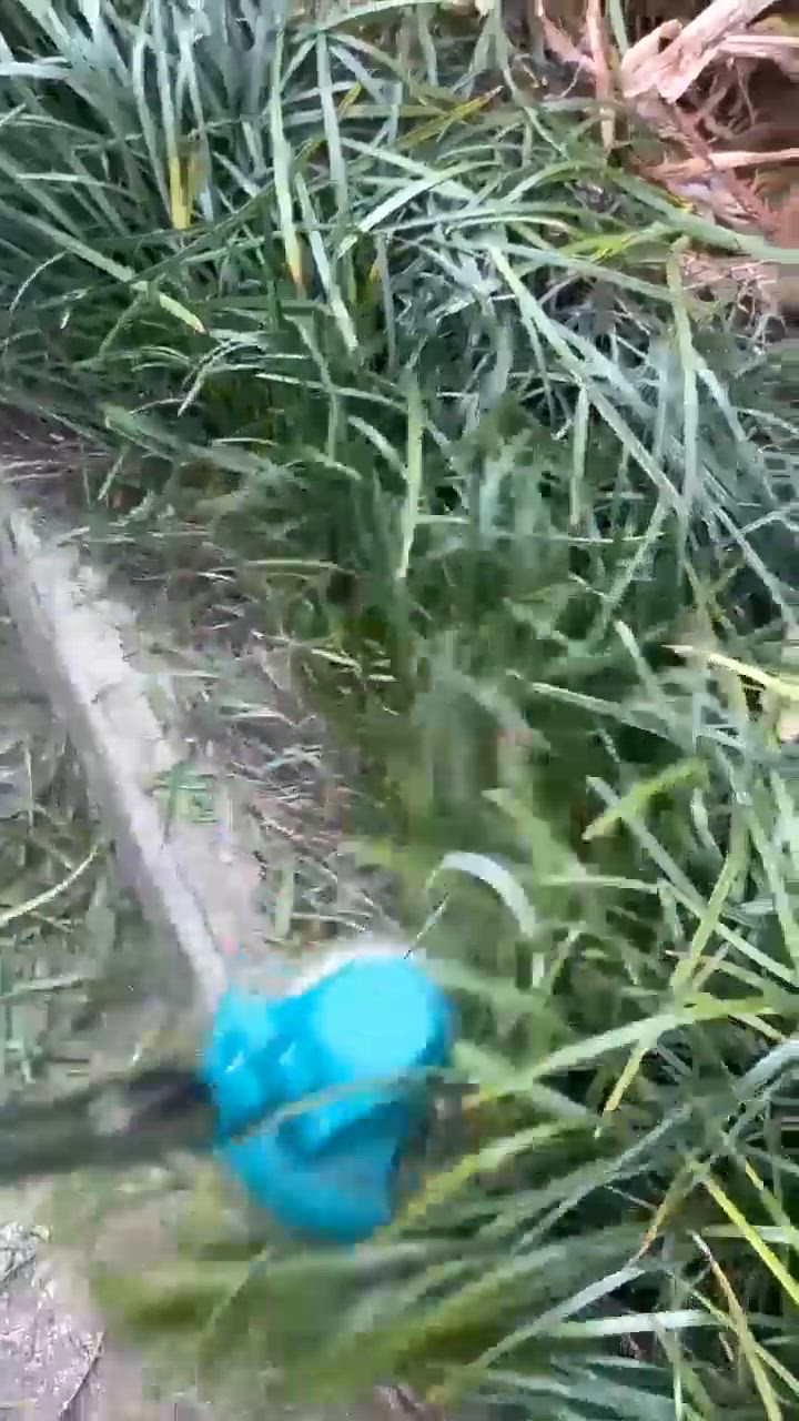 全体のレビュー動画のサムネイル | 4