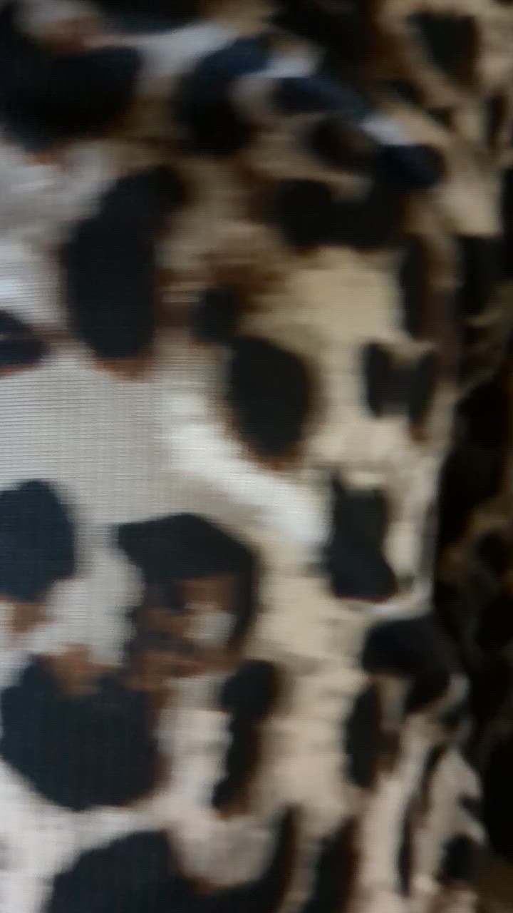 全体のレビュー動画のサムネイル | 0