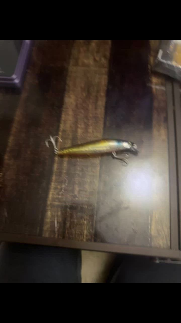 9件目のレビュー動画のサムネイル | 0