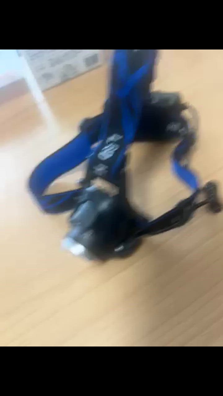 全体のレビュー動画のサムネイル | 1
