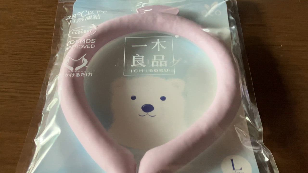 全体のレビュー動画のサムネイル | 14