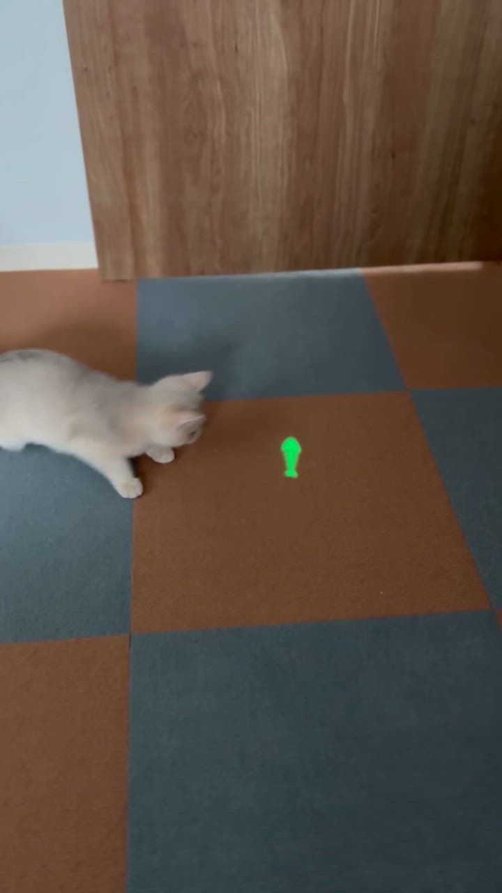 全体のレビュー動画のサムネイル | 0