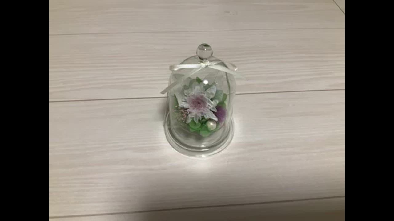 全体のレビュー動画のサムネイル | 0