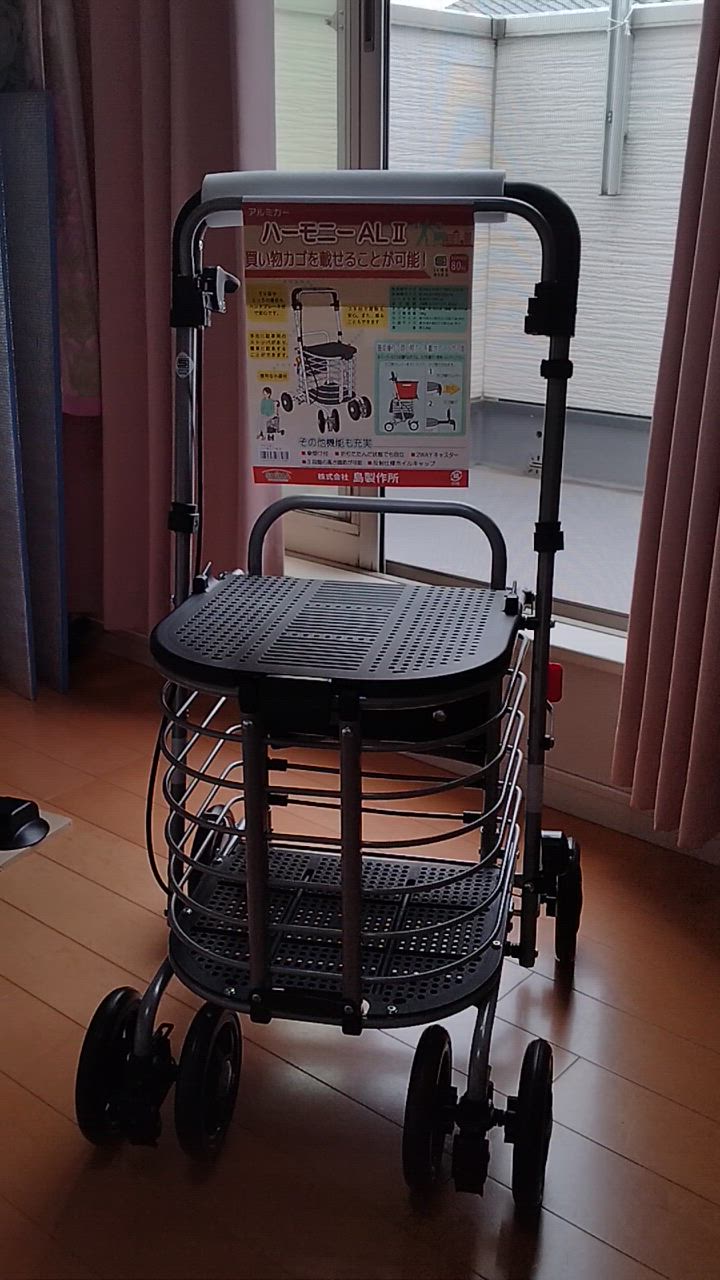 1件目のレビュー動画のサムネイル | 0