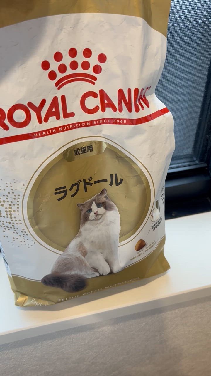 ロイヤルカナン ラグドール 2kg / 成猫用（生後12ヵ月齢から12歳
