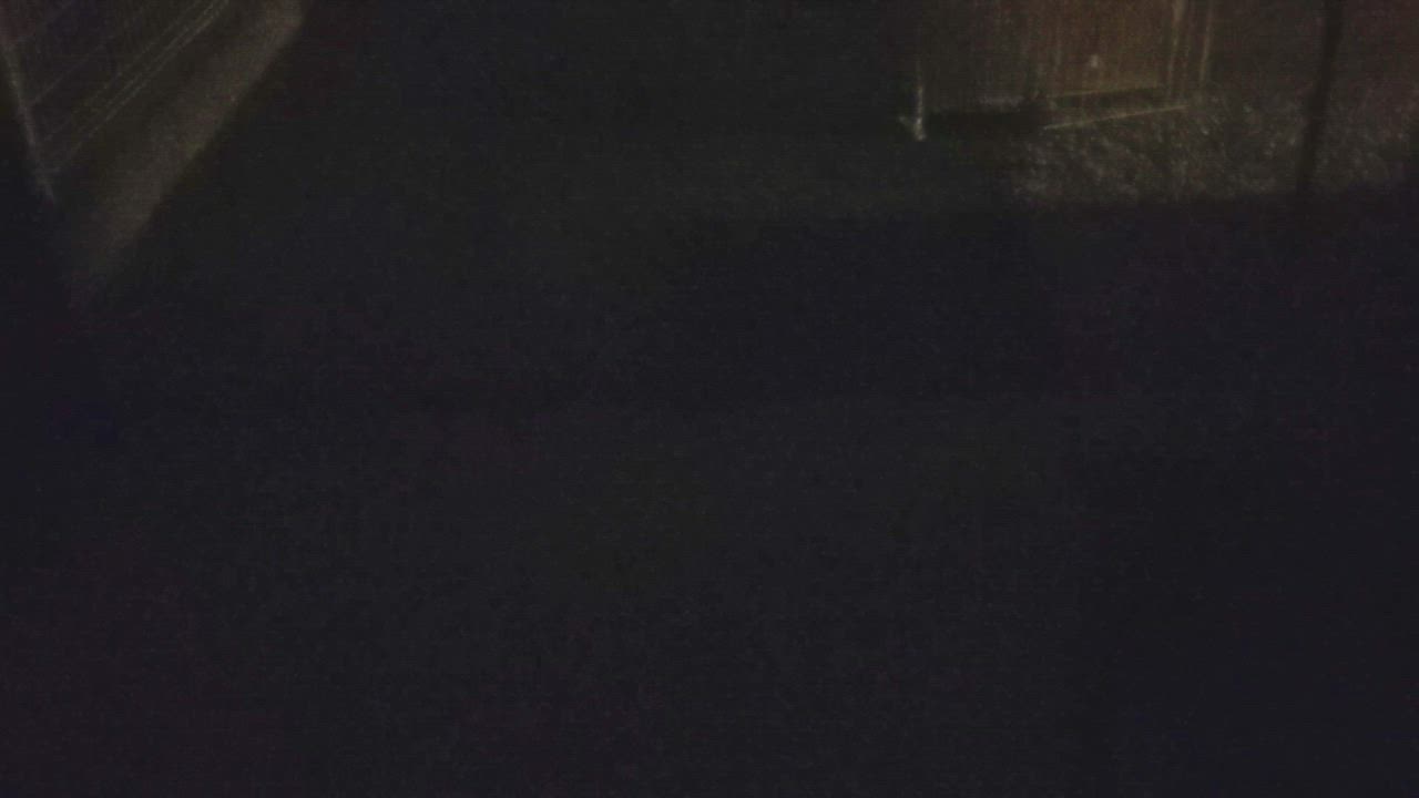 1件目のレビュー動画のサムネイル | 0