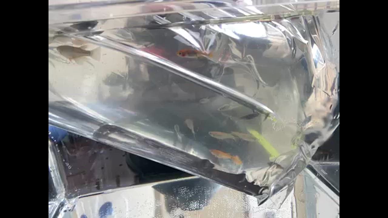 全体のレビュー動画のサムネイル | 4