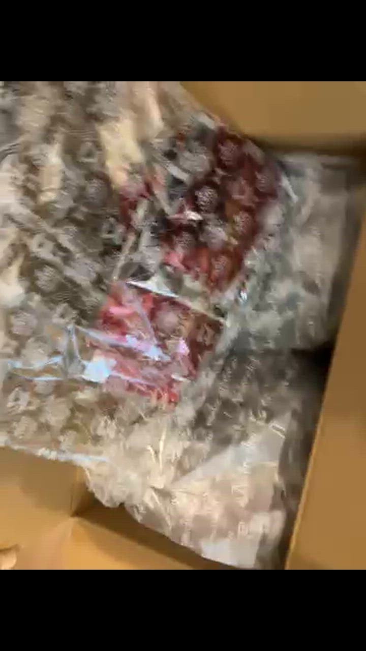 全体のレビュー動画のサムネイル | 1