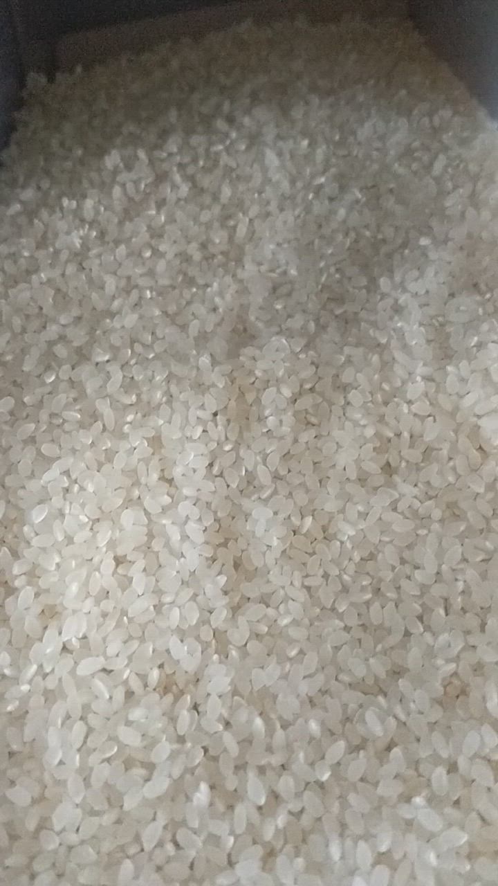 全体のレビュー動画のサムネイル | 5