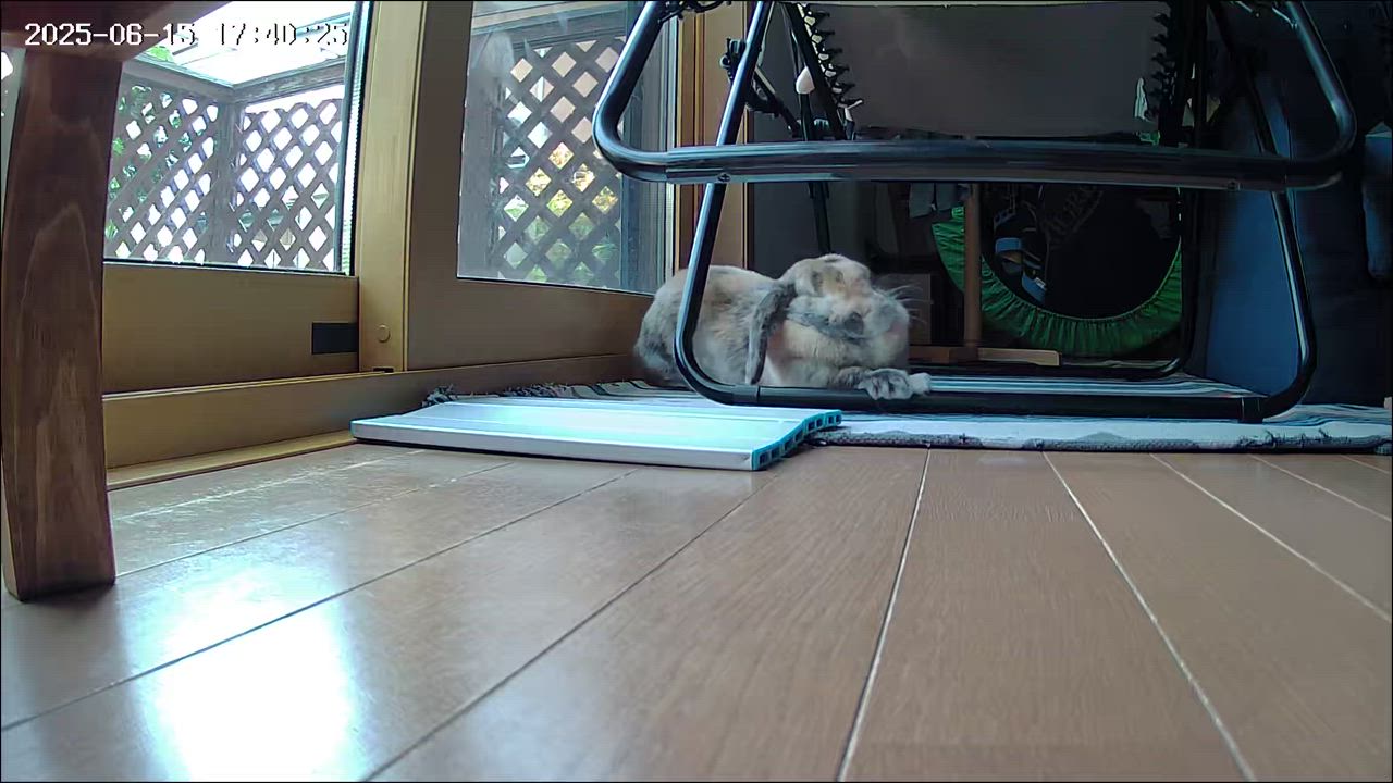 全体のレビュー動画のサムネイル | 6