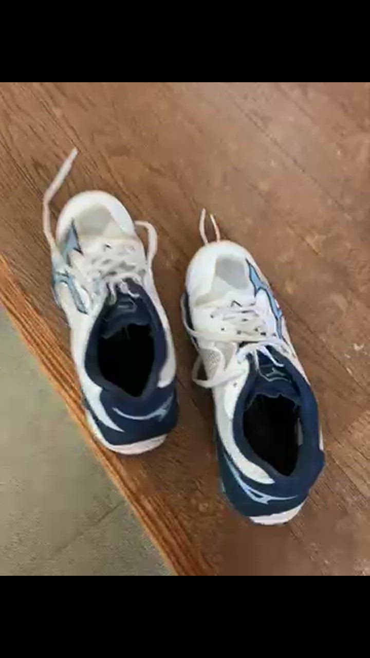 バレーボールシューズ 24.5 MIZUNO ミズノ WAVE LIGHTNING Z8 ウエーブライトニング