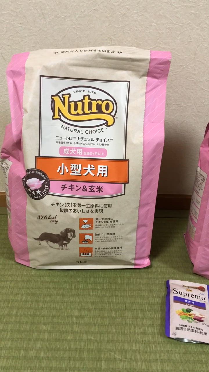 全体のレビュー動画のサムネイル | 16